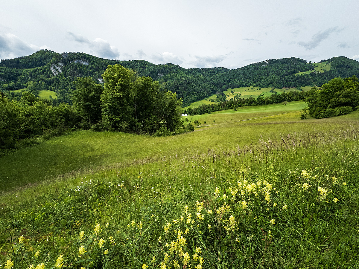 Jura.jpg