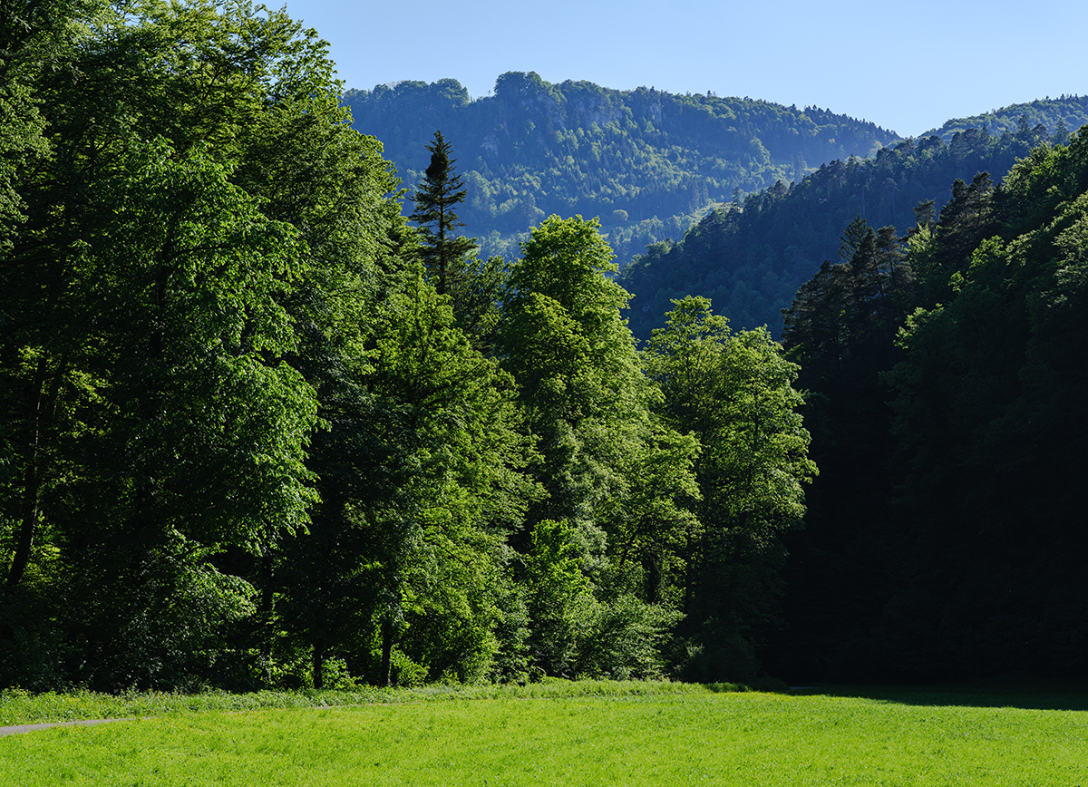 Jura.jpg