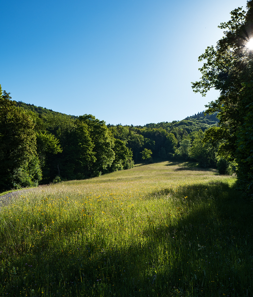 Jura2.jpg