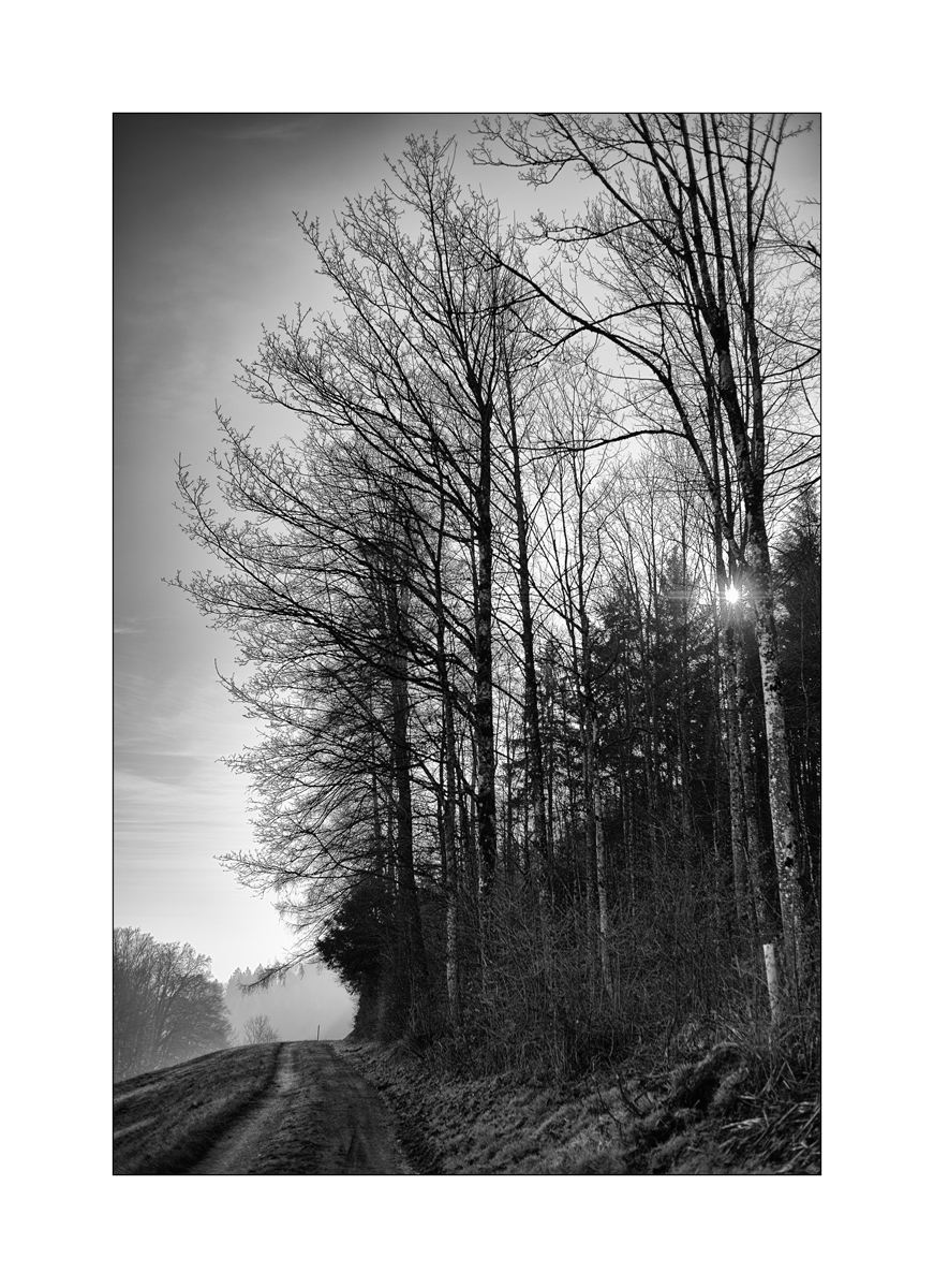 JuraDSC_1736.jpg