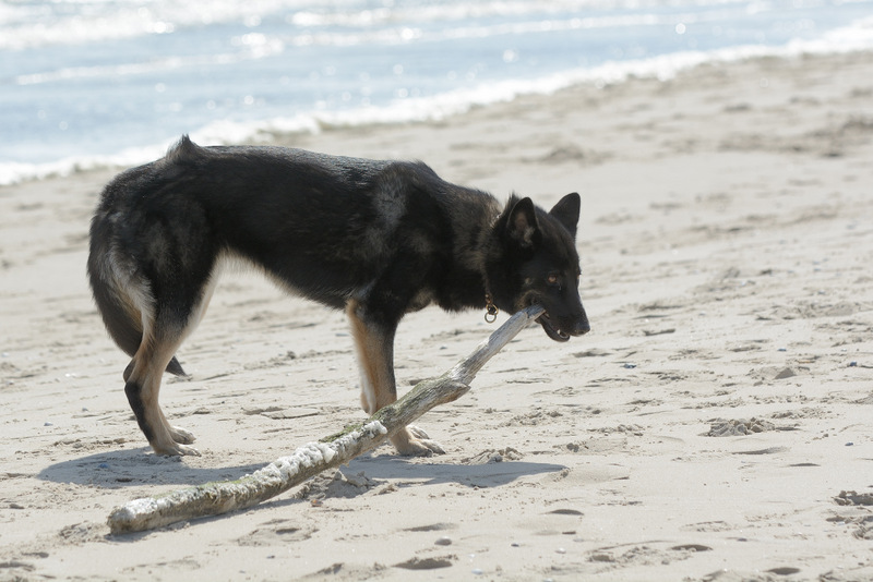 Jutter (Strandräuberin) Momo
