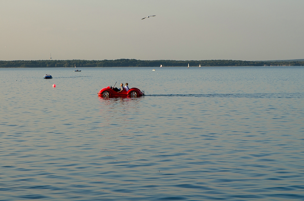 Käfer DSC 3266