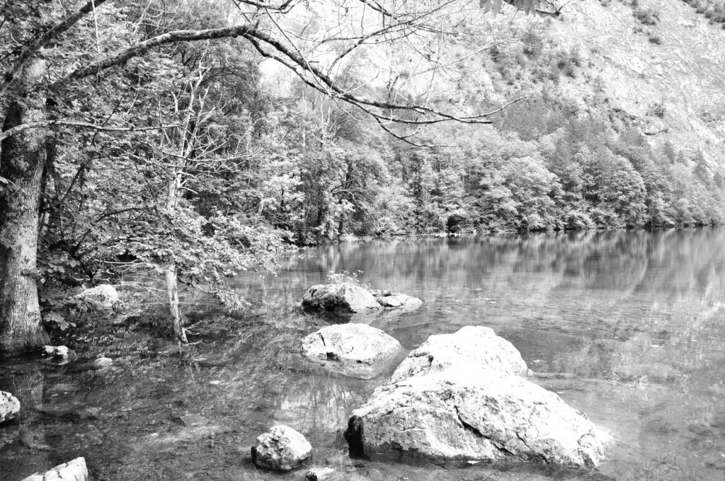 Königssee