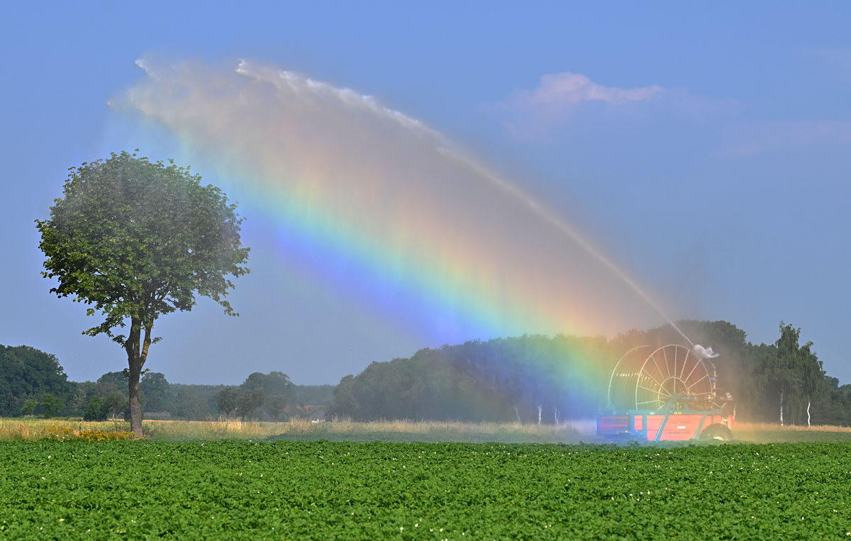 Künstlicher Regenbogen.jpg