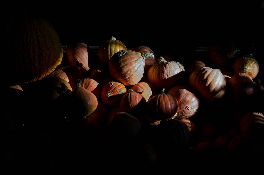Kürbis DSC 3229