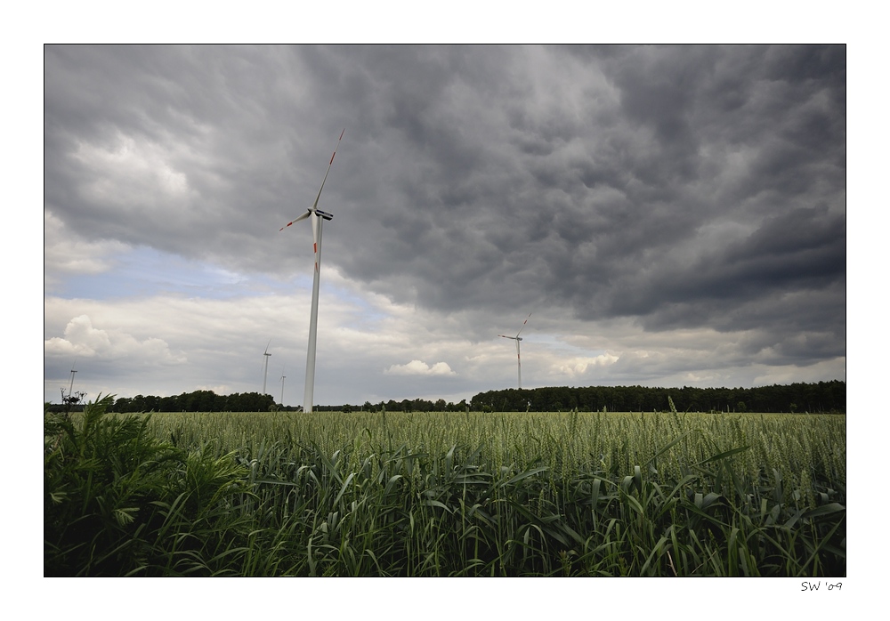 Küsten-Impression
Windräder & "norddütscher Knick"