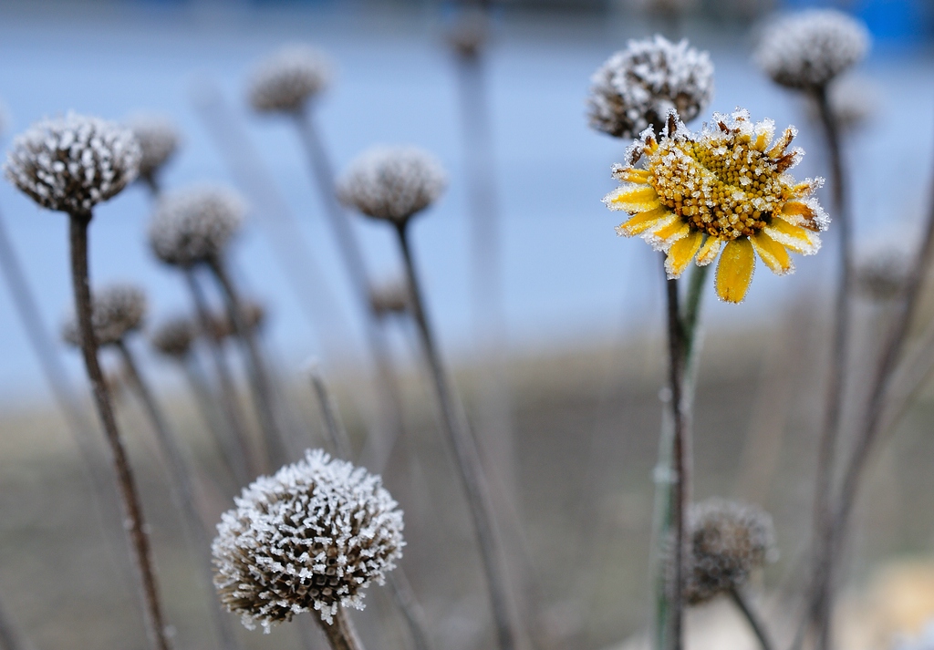k 2012 12 01 10904  D300S A