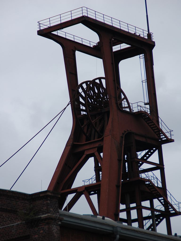k DSC 6381