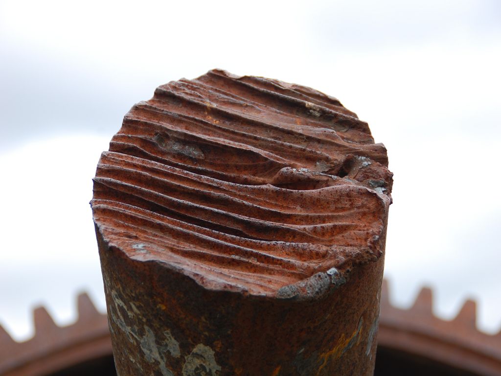 k DSC 6386