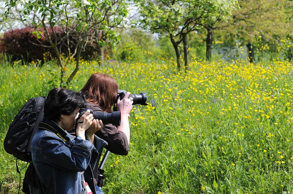 k DSC0049