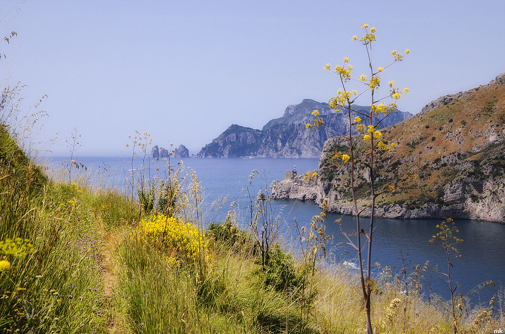 k DSC3765