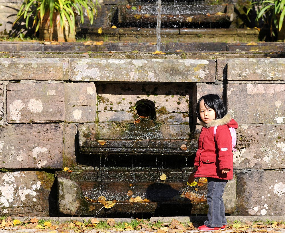 k DSC8702