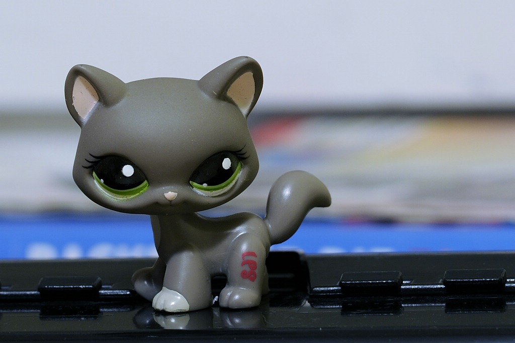 K100229aGreyCat