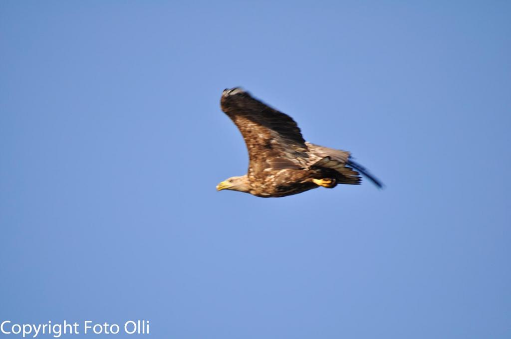 K1600 DSC 0101 295   Kopie