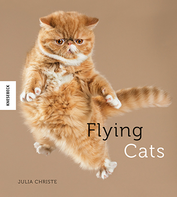 k400 FlyingCatsCover