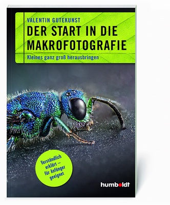 k400 GutekunstMakrofotografie