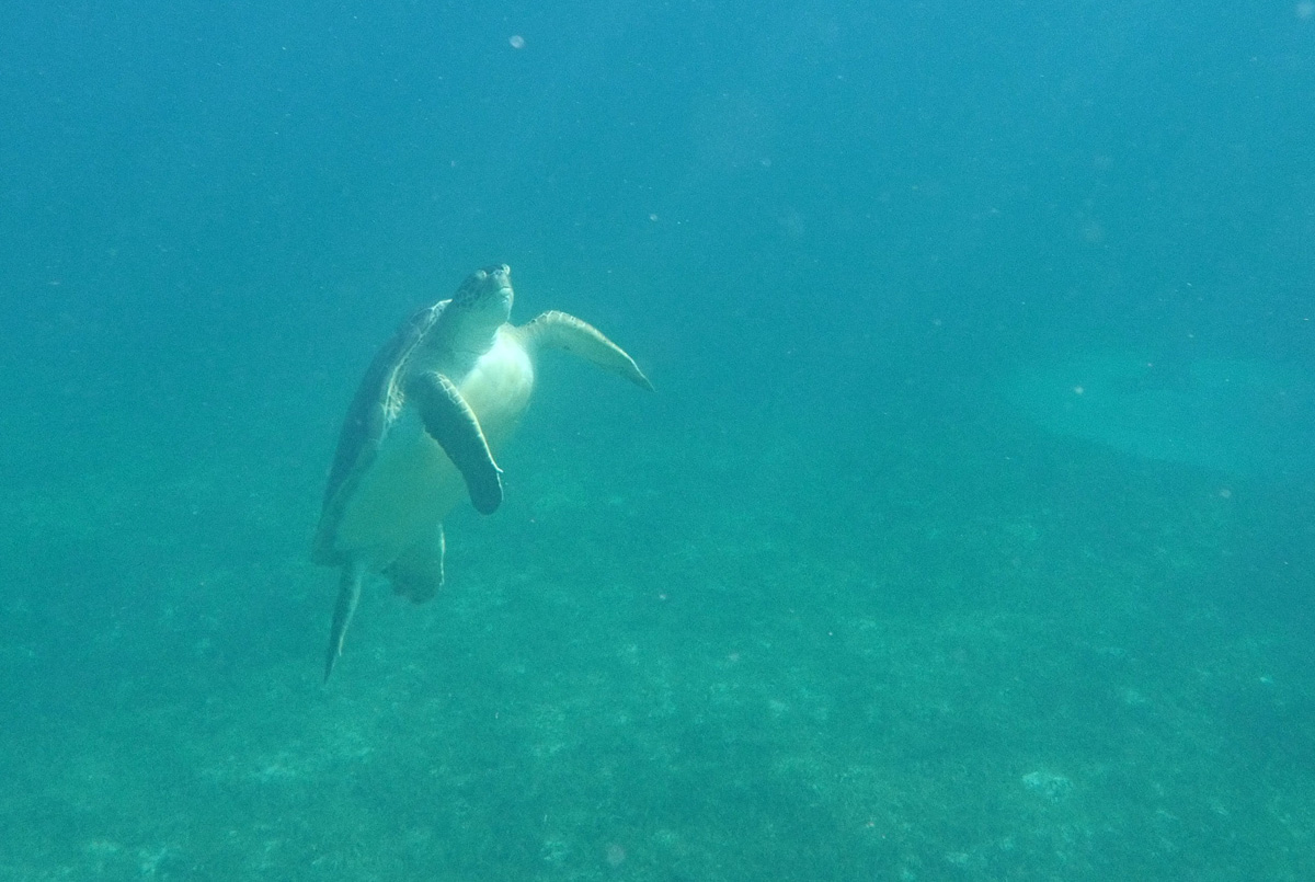K_1280157.jpg