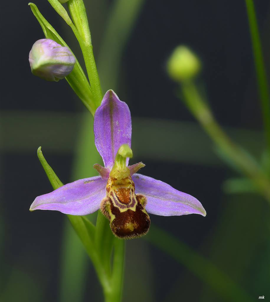 ka2015 06 14 14 06 29 (A,R13,S6)