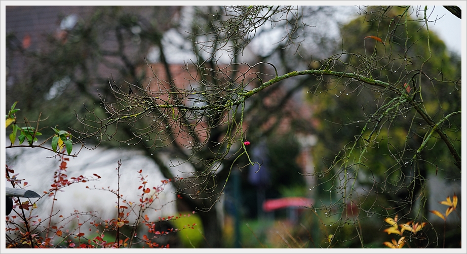 Kackwetter