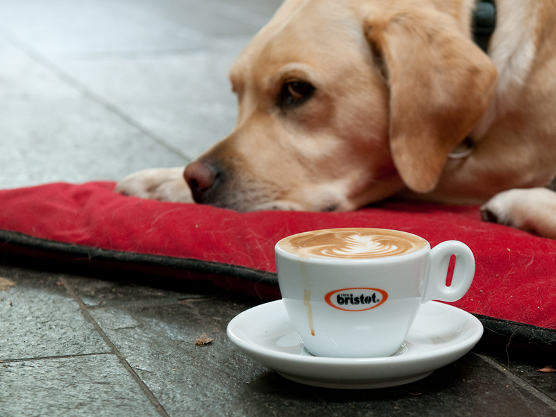 Kaffeesaufen1
