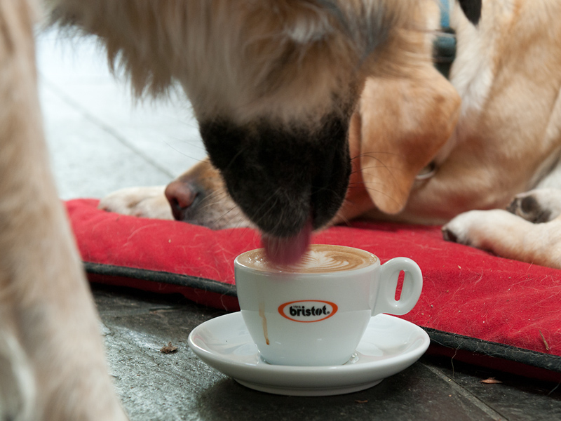 Kaffeesaufen2