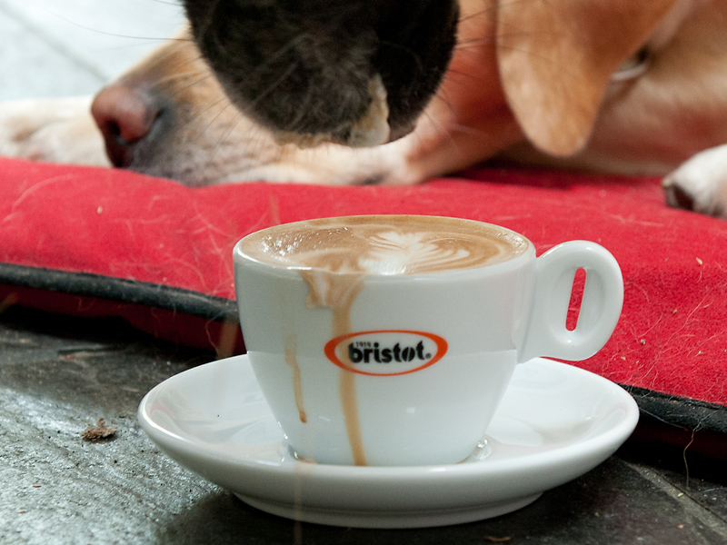 Kaffeesaufen3