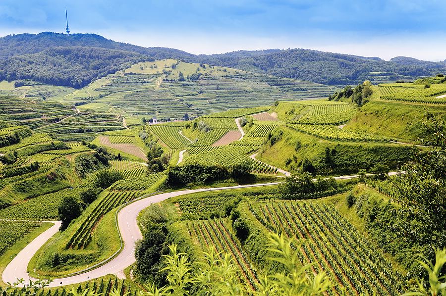 Kaiserstuhl2