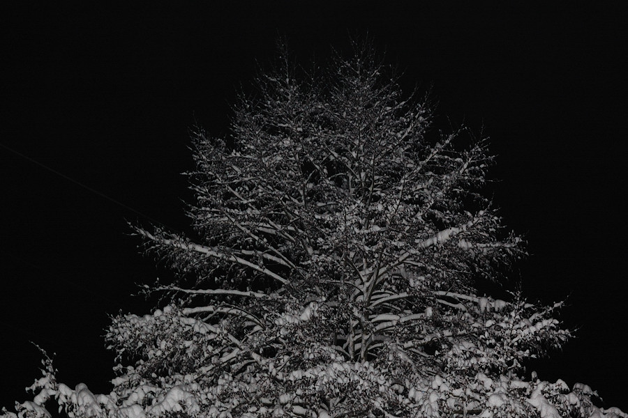 kalte Winternacht