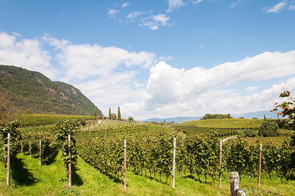 Kaltern 20140925 175 1