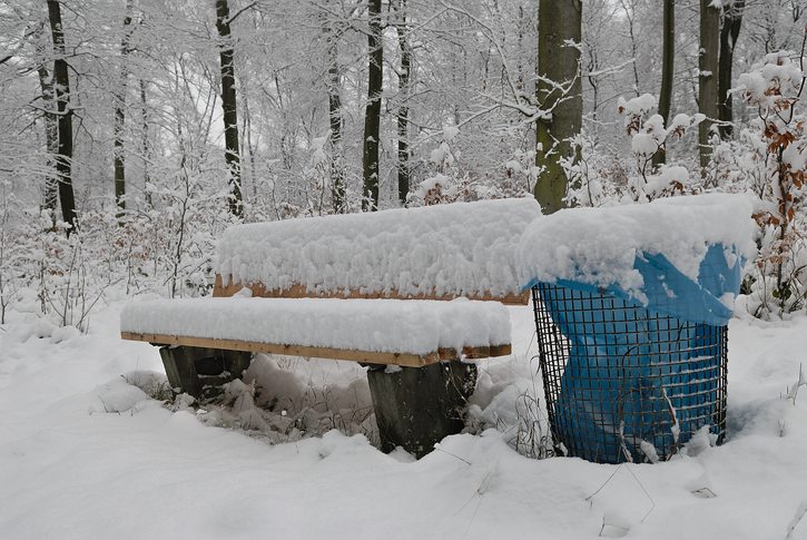 Kammerberg 01/2010