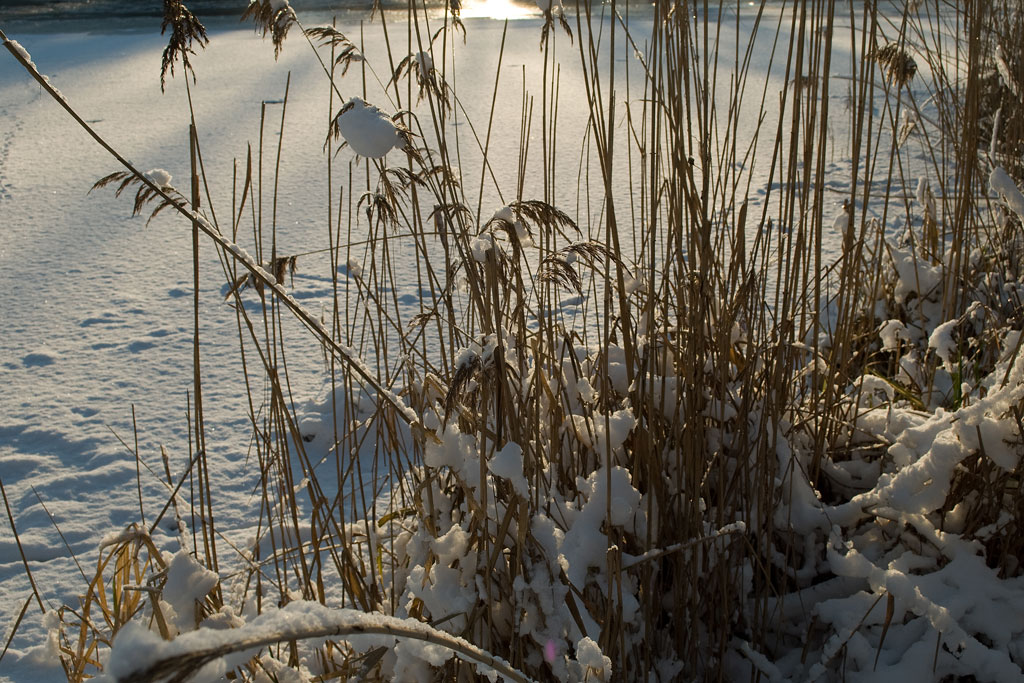 Kanal winter
