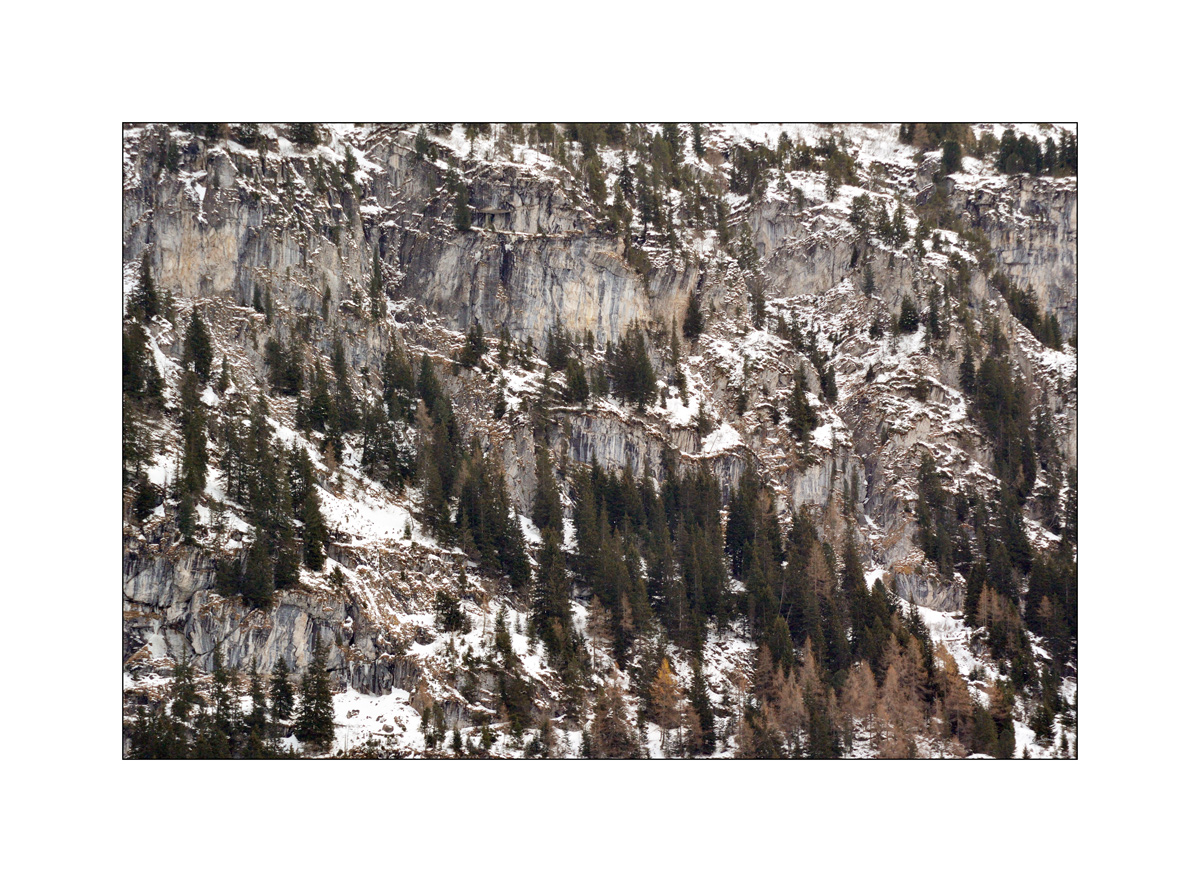 KanderDSC 7811