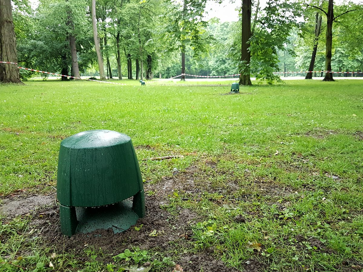 Karlsaue 02