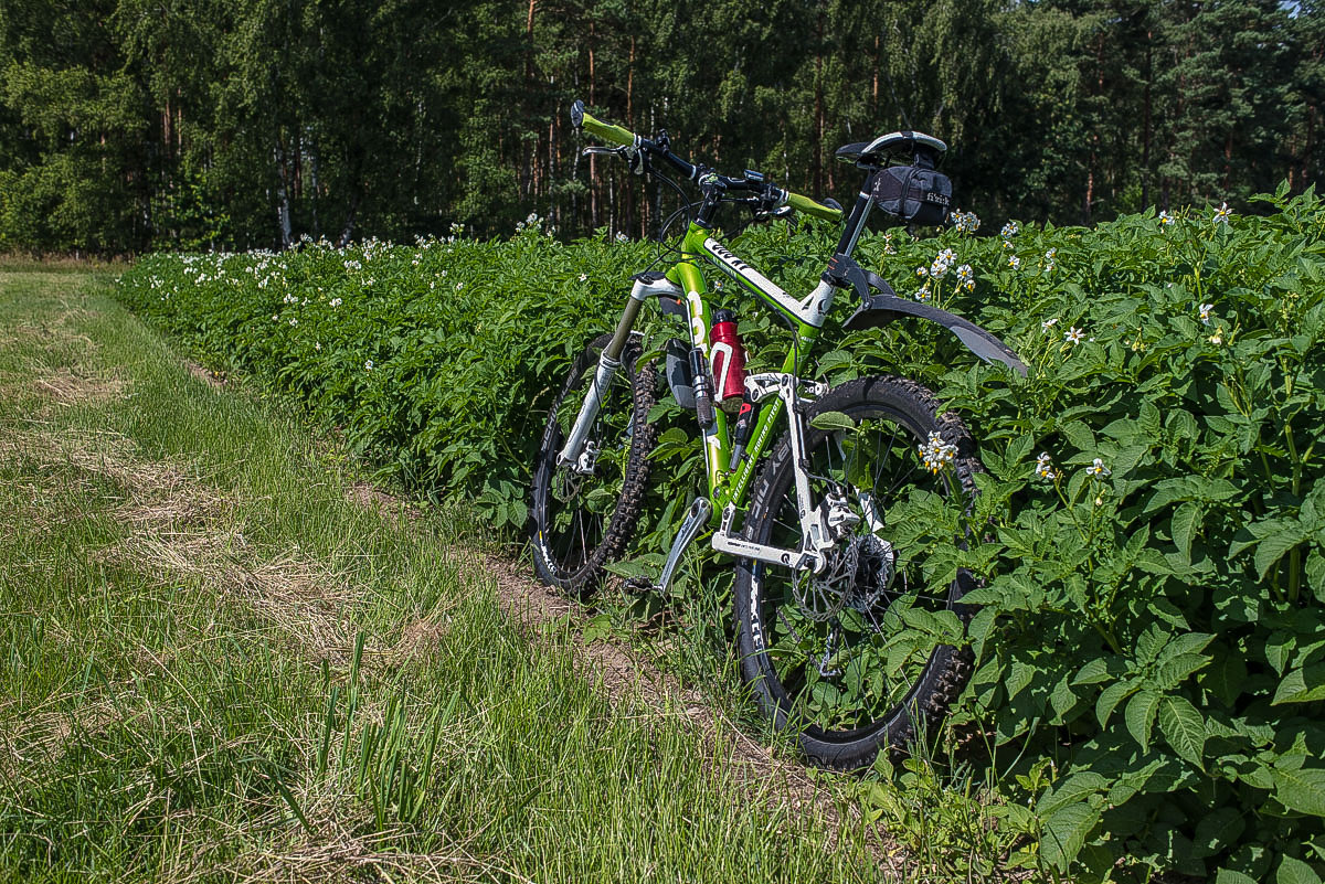 Kartoffelbike 2 (1 von 1).JPG