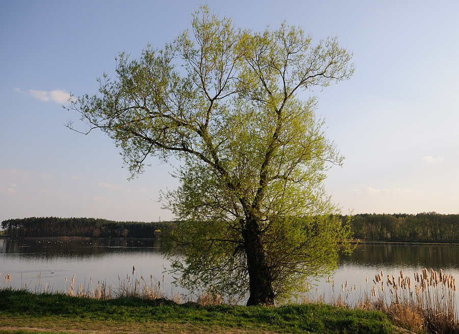 Kastenweiher