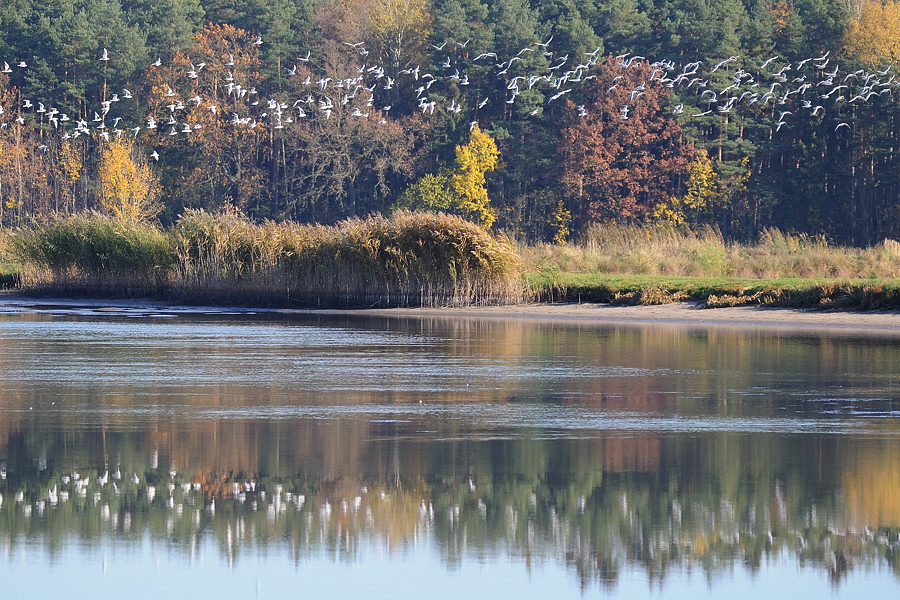 Kastenweiher11 01