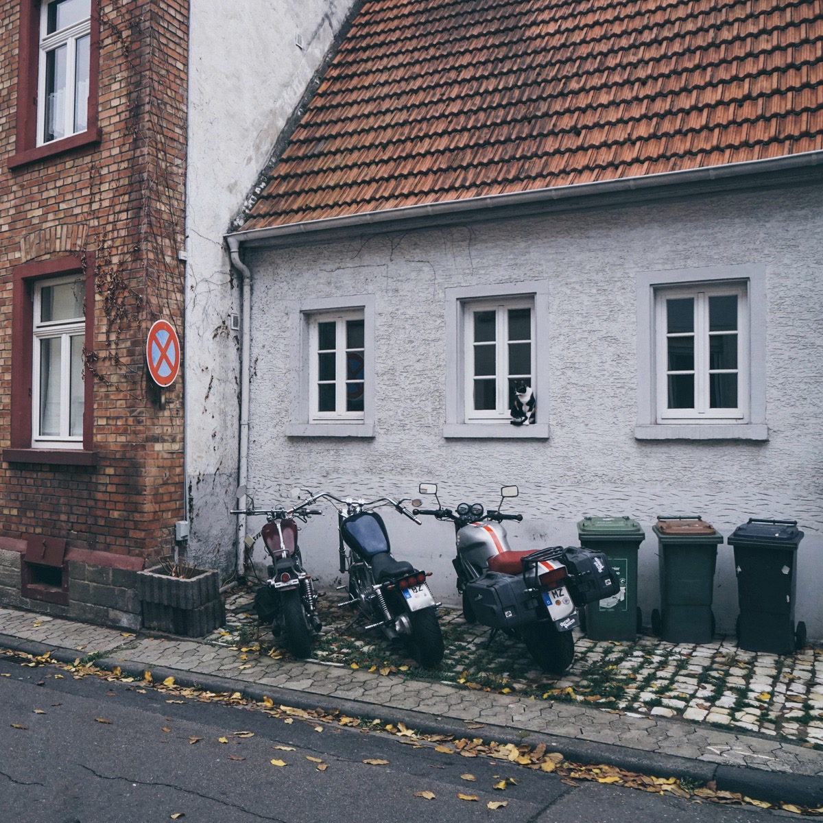 Katze auf dem Fensterbrett