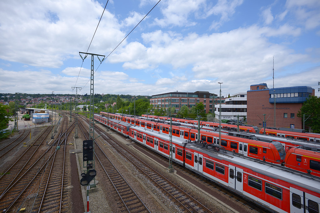 kDSC 3261