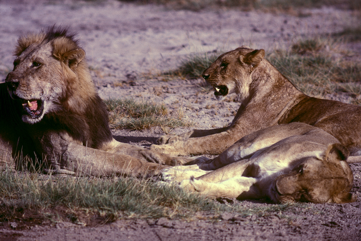 Kenia136bearbeitetklein Kopie.jpg