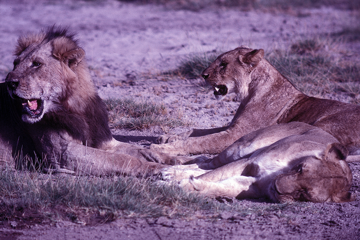 Kenia136Ursprungklein Kopie.jpg