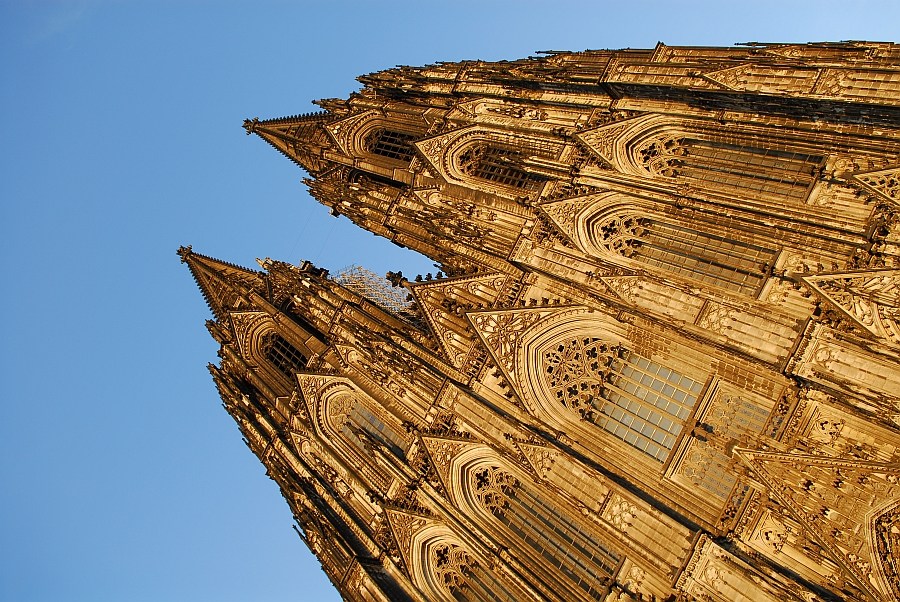 kenzaburo dom