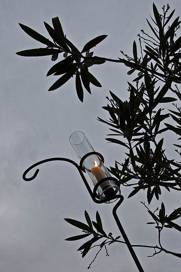 kerze und oleander