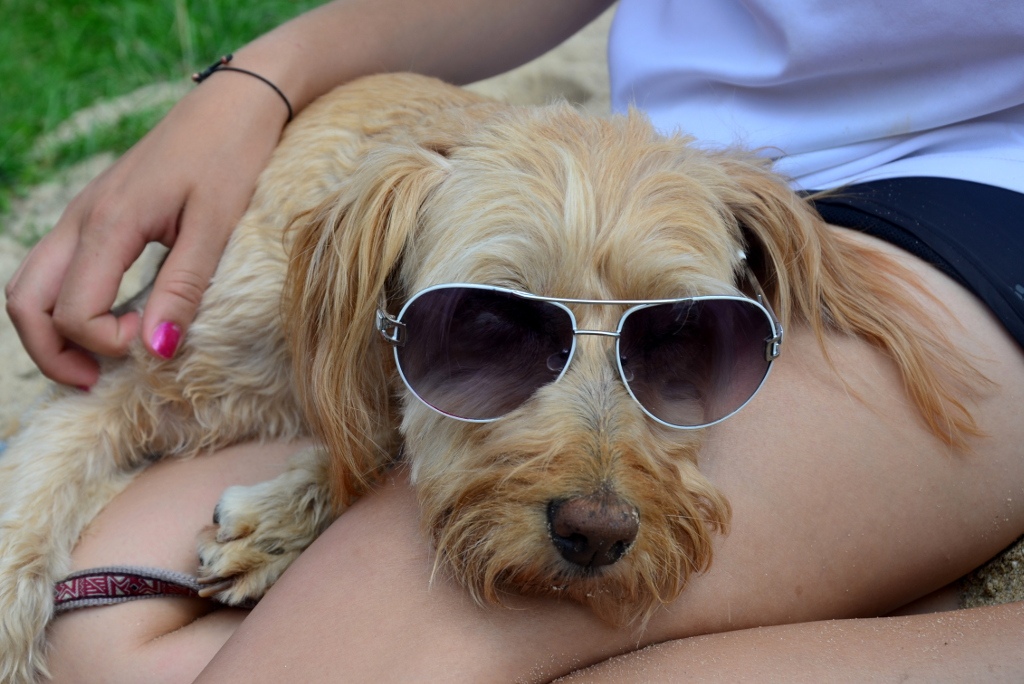 Kessy