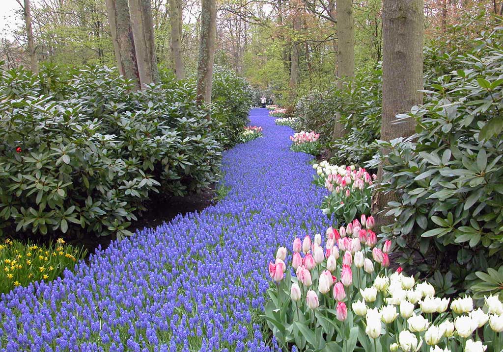 Keukenhof