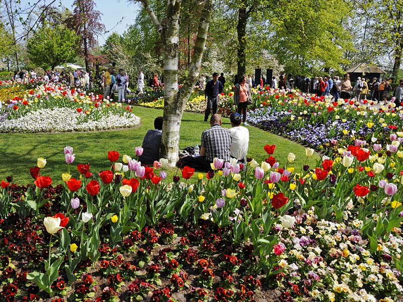 Keukenhof