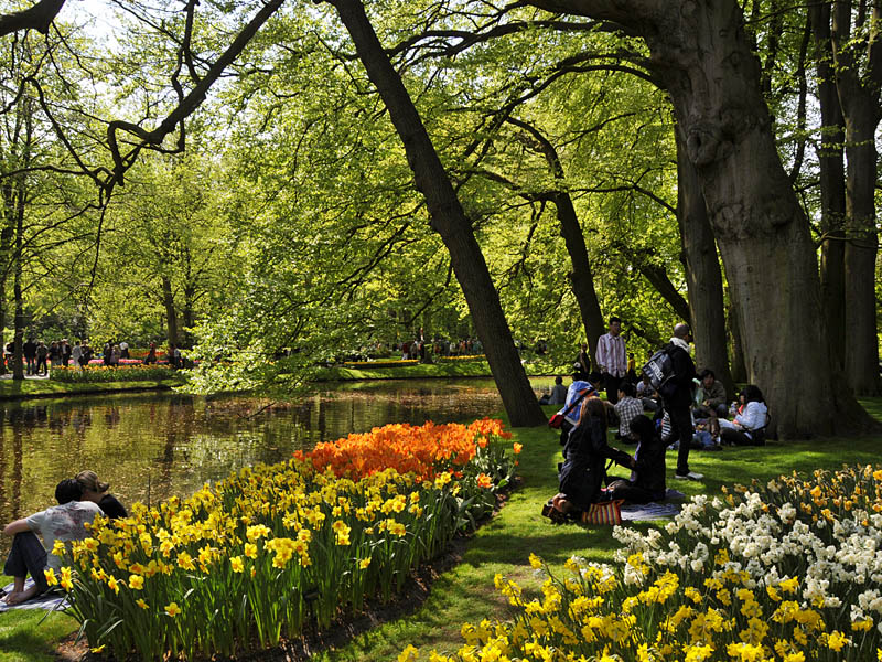 Keukenhof