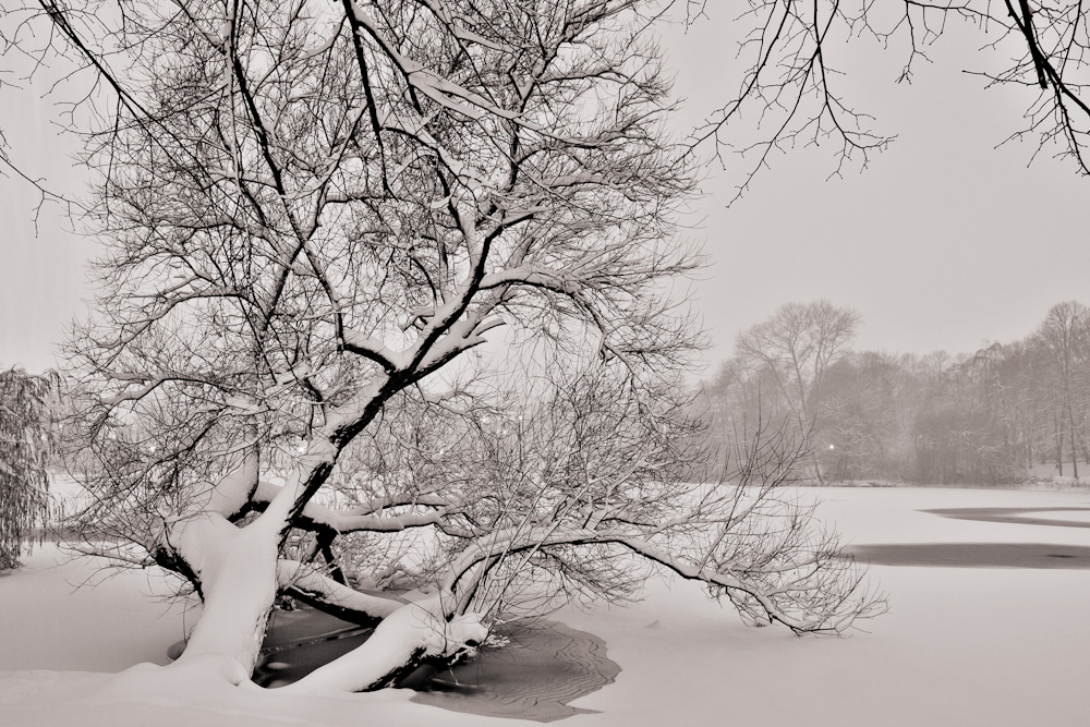Kiel - Schrevenpark
2. Dezember 2010