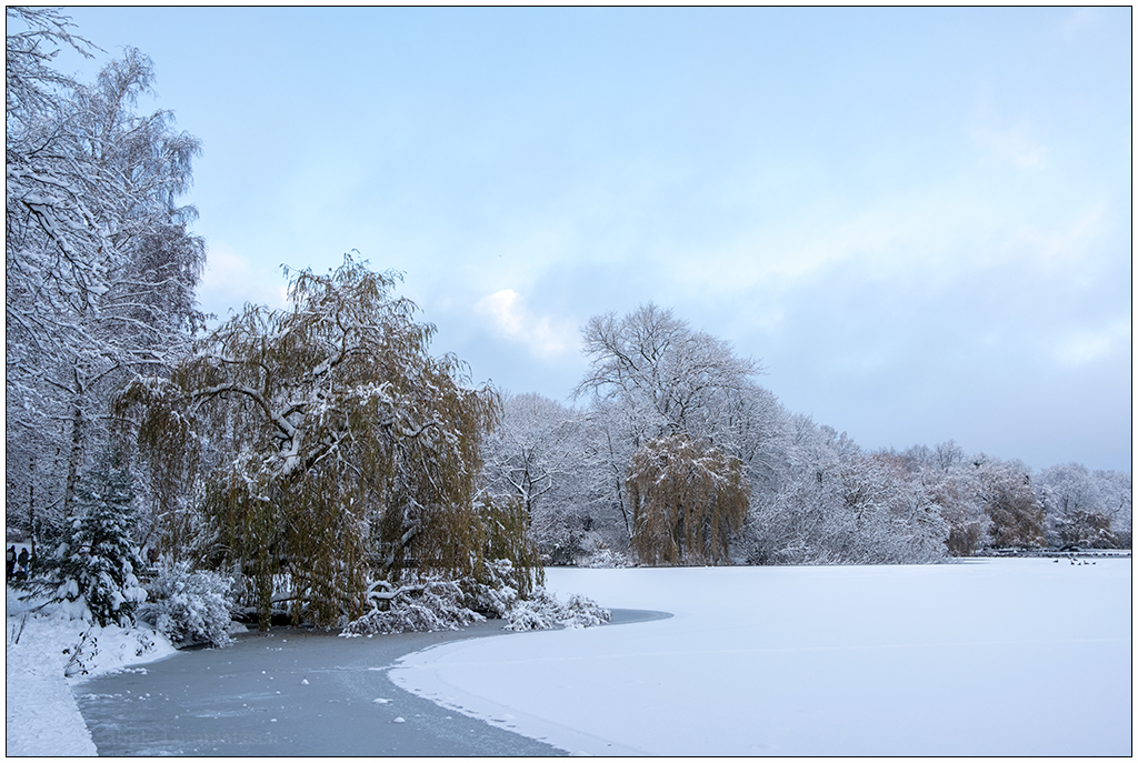 Kieler Schrevenpark im Dezember – Winterwunderland III
