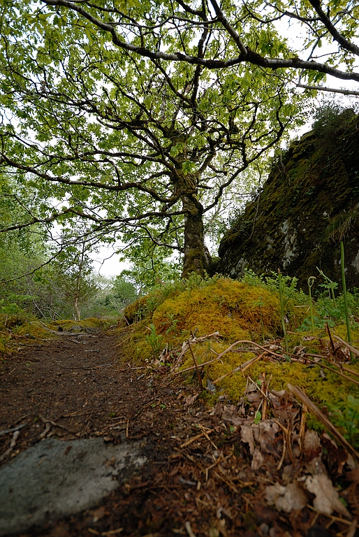 Killarney (102)