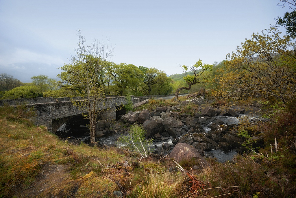 Killarney (95)